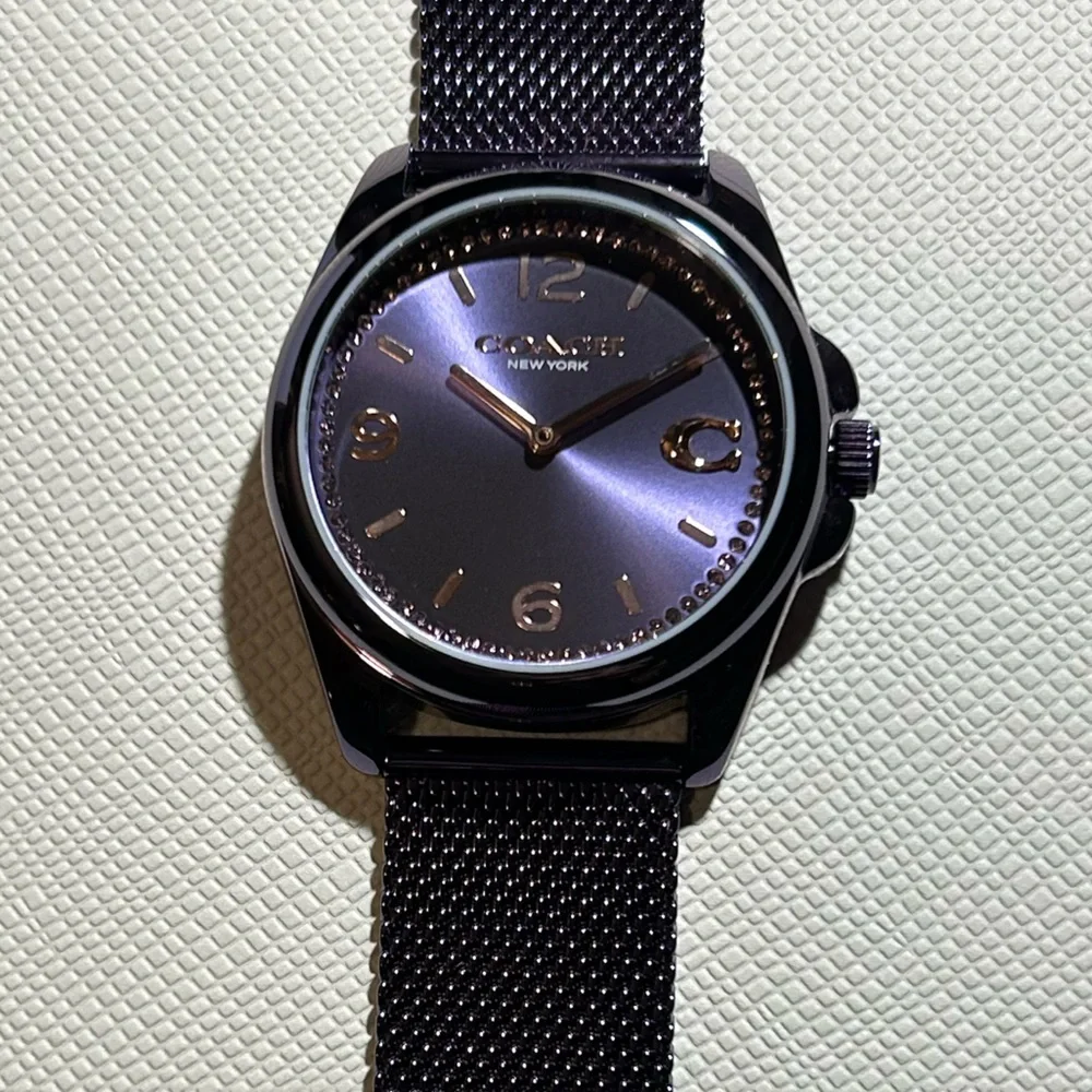 Coach Women's Purple Dial Stainless Mesh Strap Watch